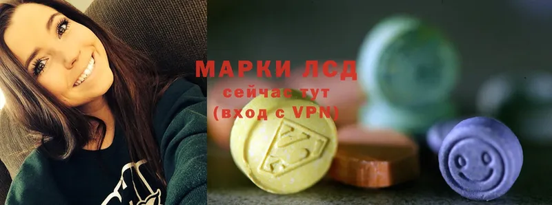 Виды наркотиков купить Трубчевск A-PVP  Мефедрон  kraken рабочий сайт  Экстази  Бошки Шишки  АМФЕТАМИН  Псилоцибиновые грибы  ГЕРОИН 